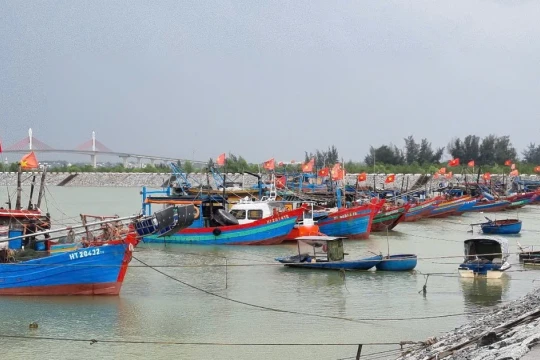 Gần 4.000 tàu thuyền tại Hà Tĩnh đã vào nơi trú bão an toàn