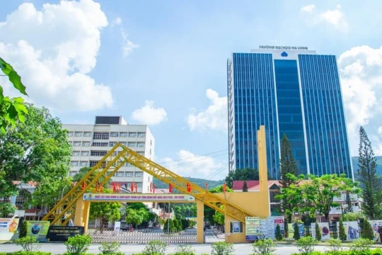 Sinh viên Trường Đại học Hạ Long có việc làm khi chưa nhận bằng tốt nghiệp
