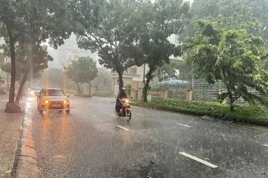 Cảnh báo bão Wipha gây dông, lốc, mưa lớn cục bộ khu vực nội thành Hà Nội