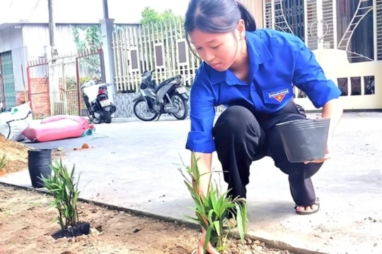Một mái nhà, nghìn hy vọng