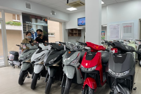 Cửa hàng xe điện ở TP.HCM tấp nập khách giữa thông tin chuyển đổi xe xăng