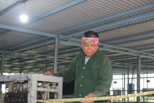 Cựu chiến binh 'rẽ đất, hứng nắng' thu tiền tỷ mỗi năm