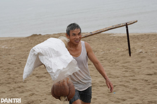 Tranh thủ khi biển động, người dân kiếm nửa triệu đồng mỗi buổi nhờ nghề này