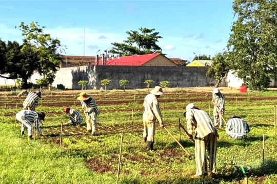 Hành trình giáo dục mở lối trở về cho phạm nhân