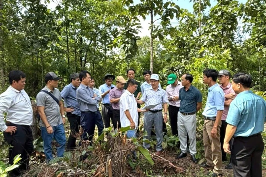 Hơn 1.200 tỷ đồng xây trường nội trú liên cấp ở 7 xã biên giới Gia Lai
