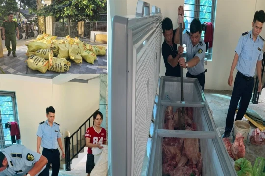 Tạm giữ hình sự 4 người ở Thanh Hoá gom lợn mắc dịch tả mang bán