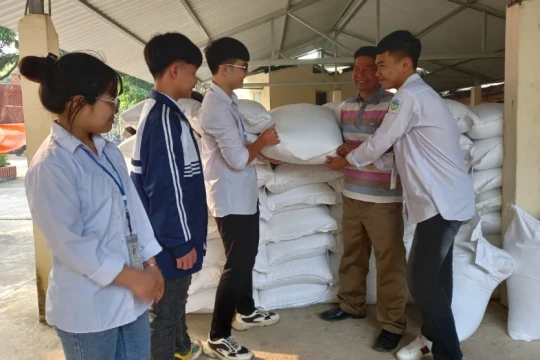 Phú Thọ cần cấp trên 4.300 tấn gạo cho học sinh trong năm học tới