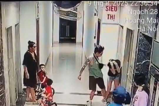 Luật sư phân tích vụ người phụ nữ bị hành hung ở sảnh chung cư Hà Nội dưới góc nhìn pháp lý