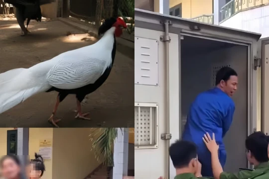 Ranh giới giữa nghiêm minh và khoan dung