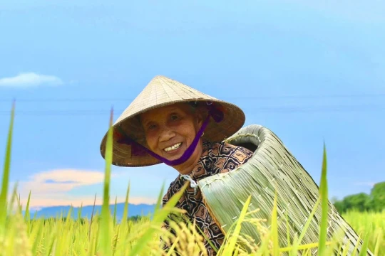 Áo tơi Yên Lạc: Giữ hồn làng trong từng mũi chằm