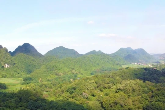 Nam du khách người Hải Phòng mất tích khi tham quan rừng Cúc Phương