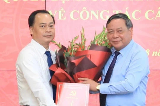 Điều động, bổ nhiệm nhân sự ở Hà Nội, TPHCM và Hà Tĩnh
