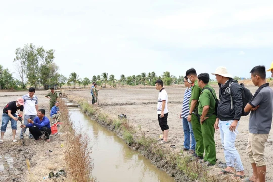 An Giang cảnh báo tình trạng dùng điện bẫy chuột dẫn đến chết người