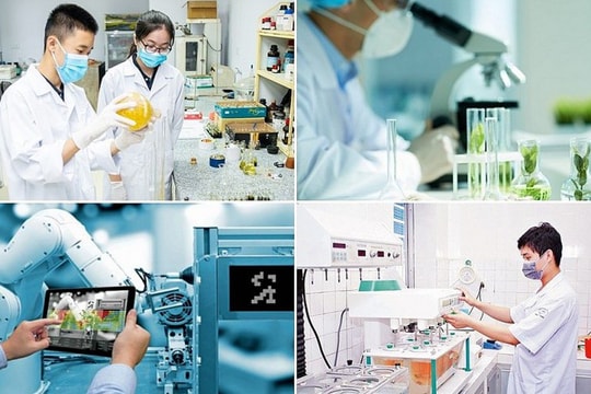 Ban hành khung hướng dẫn phát triển KHCN, đổi mới sáng tạo, chuyển đổi số