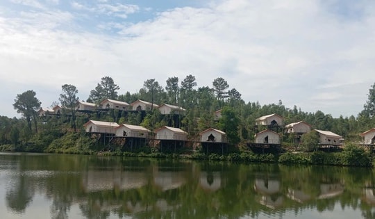 Không xử phạt Farmstay xây trái phép?