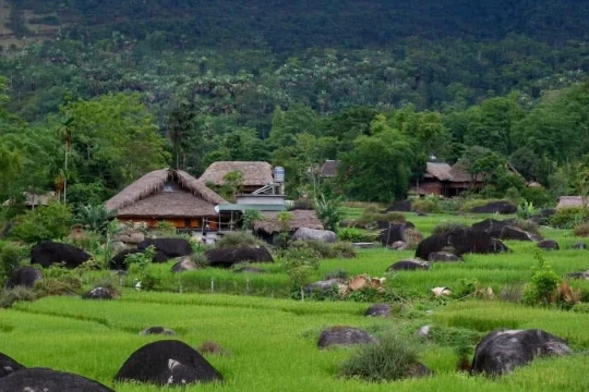 Vẻ đẹp yên bình của ngôi làng người Tày ở Tuyên Quang