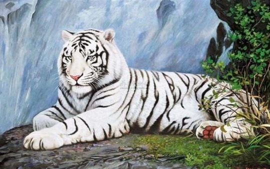 Tháng Cô hồn 2025: Hung tinh Bạch Hổ ghé thăm, 4 tuổi cần thận trọng với những rắc rối tìm đến tận cửa