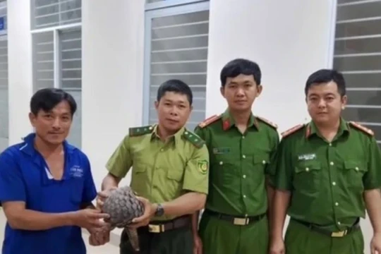Người đàn ông ở Tây Ninh giao nộp cá thể tê tê quý hiếm bắt được trên đường