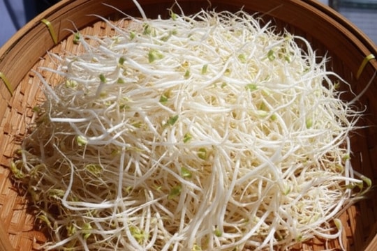 Nên ăn giá đỗ sống hay nấu chín?