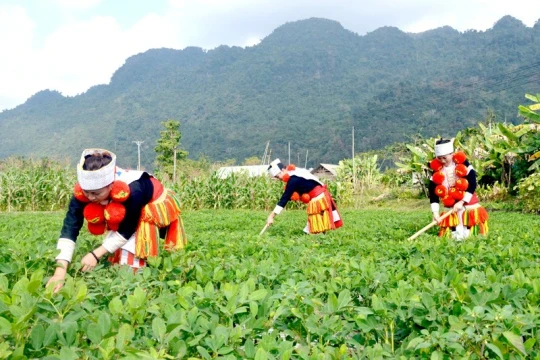 Tăng thêm nguồn lực nâng cao đời sống đồng bào để không ai bị bỏ lại phía sau
