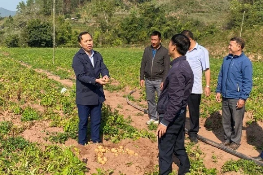 Mường Nhé giảm nghèo bền vững nơi biên cương
