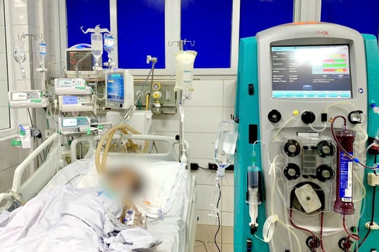 Hà Nội: Cứu sống bệnh nhân bị sốt trong tình trạng nguy kịch nhờ phát hiện mò ở vùng kín