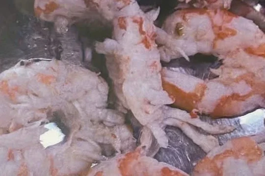 Lâm Đồng: Phụ huynh 'dậy sóng' vì lo thực phẩm bẩn lọt vào bếp ăn trường học