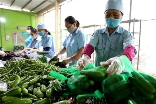 Hà Nội triển khai Nghị quyết 68: Tạo đột phá cho kinh tế tư nhân