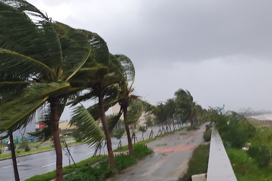 Bão số 10 Bualoi sắp đổ bộ: Ít nhất 4 địa phương cho học sinh nghỉ học ngày mai