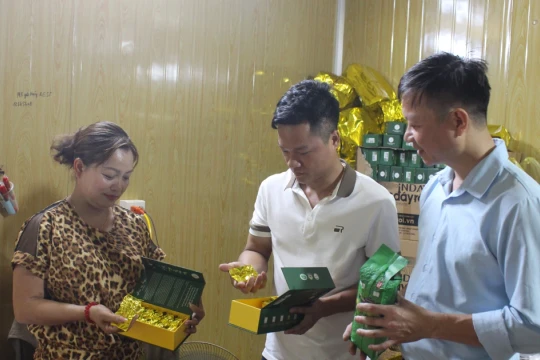 Thái Nguyên lan tỏa hiệu quả từ chương trình MTQG xây dựng nông thôn mới