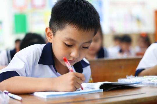 'Nên đưa AI vào tiểu học nhưng cần lộ trình thận trọng'