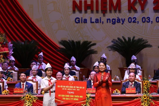 Đại hội đại biểu Đảng bộ tỉnh Gia Lai tặng 60 sân chơi cho thiếu nhi