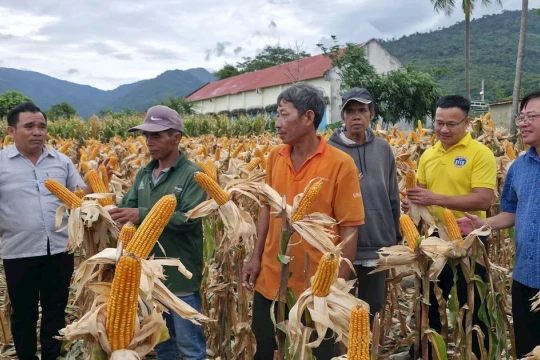 Đa dạng sinh kế, khơi dậy ý chí thoát nghèo nơi vùng cao Lâm Đồng