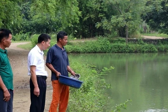 Anh nông dân Tuyên Quang từ tay trắng thành triệu phú