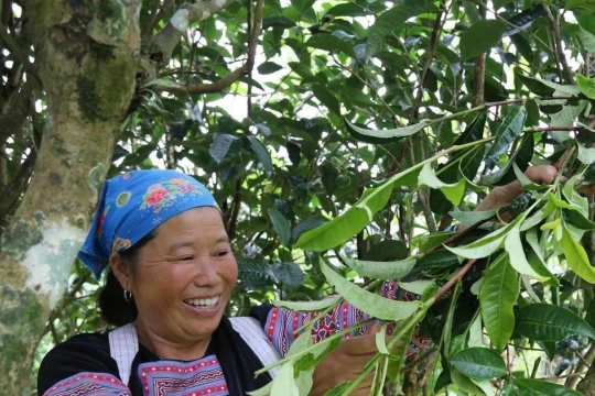 Tận dụng di sản thiên nhiên phát triển kinh tế bền vững