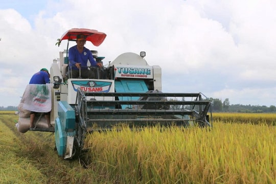 Công nghệ mở đường cho sản xuất lúa chất lượng cao, phát thải thấp ở ĐBSCL
