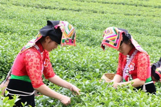 Đời sống của người dân Sơn La đổi thay nhờ công tác giảm nghèo