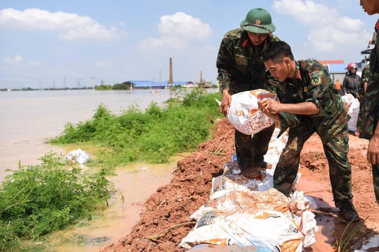Thường trực Chính phủ yêu cầu nâng cấp hệ thống đê chống lũ