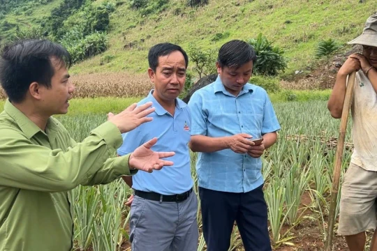 Bước chuyển mới ở xã vùng cao Pú Nhung