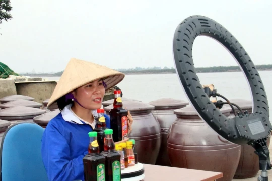 Từ phong trào xóa mù chữ đến phổ cập kỹ năng số ở Ninh Bình