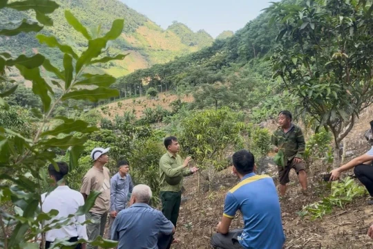 Quyết tâm xóa mù chữ, nâng cao dân trí ở Pú Nhung