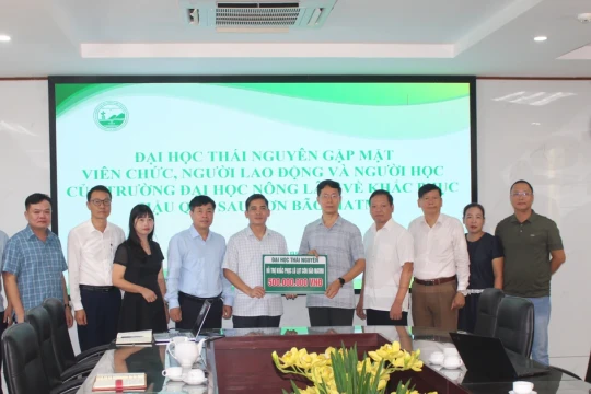 Dành sự quan tâm hỗ trợ đặc biệt cho sinh viên sau bão số 11