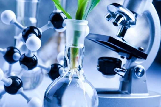 Chỉnh sửa gene trong nông nghiệp - công nghệ chiến lược gắn với khung pháp lý