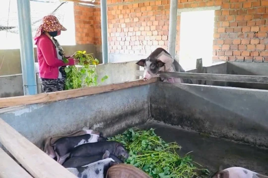 Vượt lên từ gian khó, kiên trì hướng tới giảm nghèo bền vững