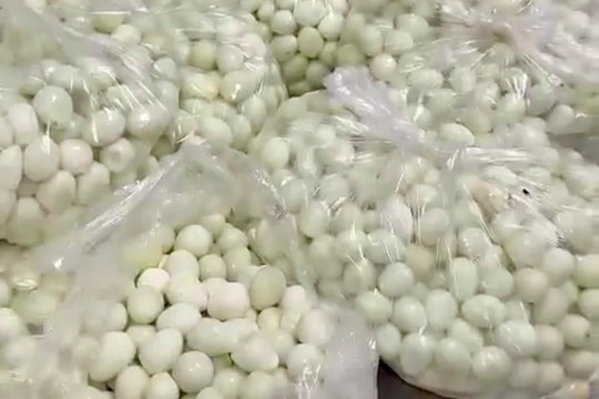 Trường dừng bán trú, hàng trăm phụ huynh cho con nghỉ học