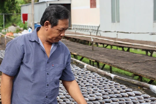Cà Mau giảm tỷ lệ hộ nghèo đồng bào DTTS mỗi năm từ 2% trở lên