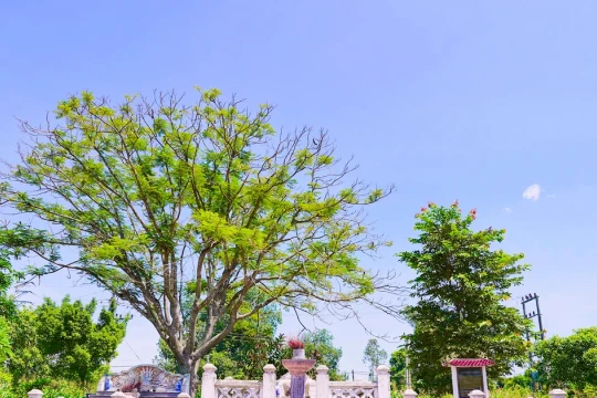 Chuyện học xưa & nay: Tống Tất Thắng - Danh tướng khai khoa miền đất học