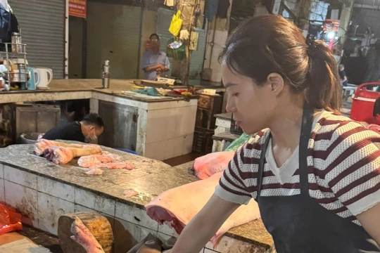 Khởi tố 3 người mua, bán, giết mổ số lượng lớn lợn dịch bệnh