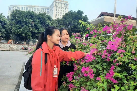 Quà của mẹ