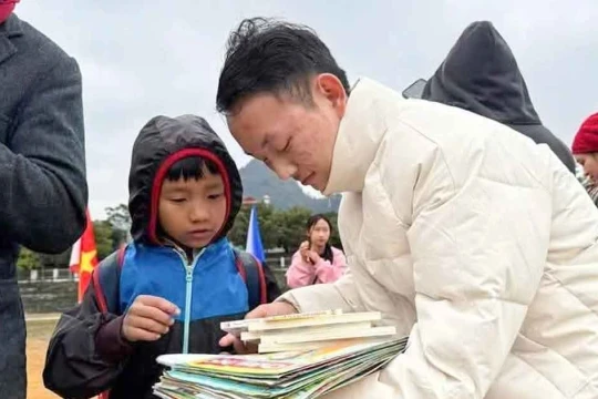 Hạt mầm trên núi đá